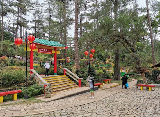 philippines/baguio/landmark/baguio-botanical-garden