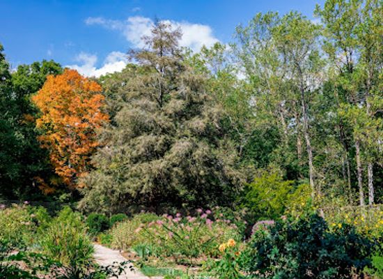 indiana/yellowwood-state-forest/landmark/t-c-steele-state-historic-site
