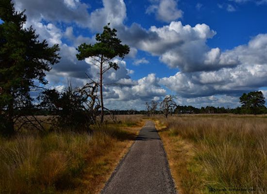 netherlands/hoge-veluwe-national-park/landmark/de-hoge-veluwe-nationaal-park