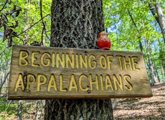 alabama/talladega-national-forest/landmark/flagg-mountain