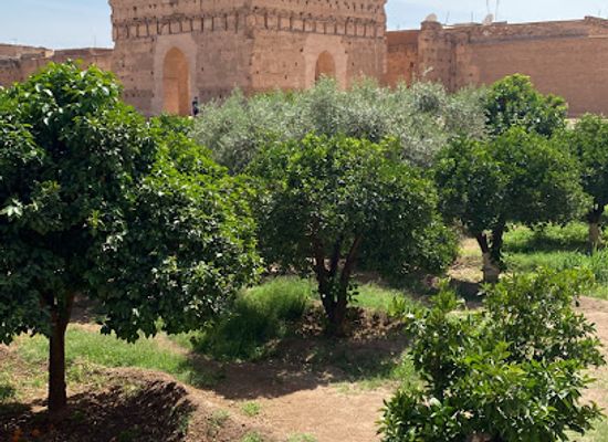 morocco/marrakech/landmark/marrakech-tailor-made-tours