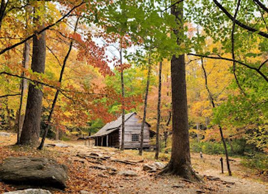 tennessee/east-tennessee/landmark/noah-bud-ogle-cabin
