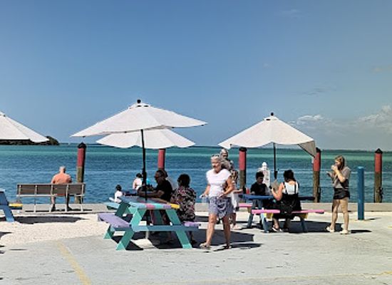 florida/sarasota-beaches/landmark/mote-marine-laboratory-aquarium