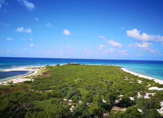 mexico/yucatan-peninsula/landmark/scorpion-reef