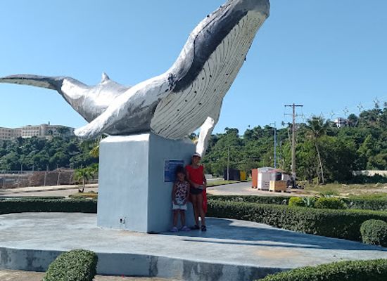 dominican-republic/samana-peninsula/landmark/monumento-a-las-ballenas