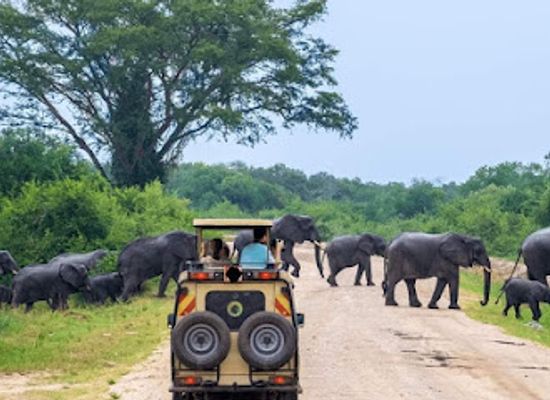 uganda/kampala/landmark/here-in-uganda