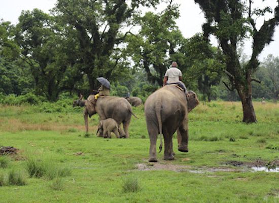 nepal/chitwan-national-park/landmark/chitwan-national-park-sauraha