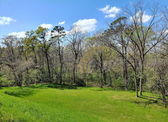 mississippi/natchez-trace-parkway/landmark/emerald-mound