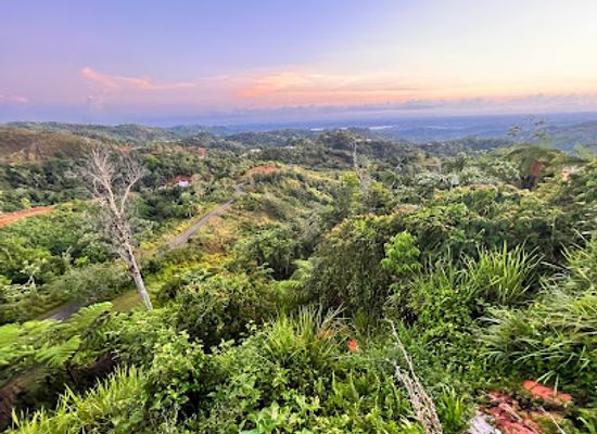 puerto-rico/la-cordillera-central/landmark/finca-las-puertas-de-san-pedro