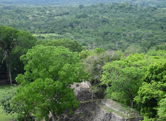 belize/cockscomb-basin-wildlife-sanctuary/landmark/xunantunich-mayan-ruins
