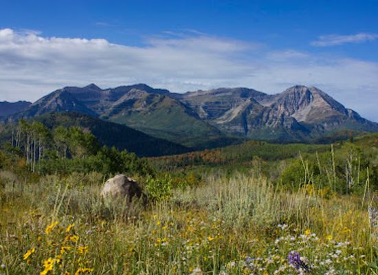 utah/heber-city/landmark/heber-valley-chamber-of-commerce