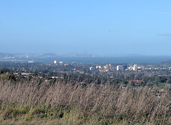 california/san-mateo/landmark/laurelwood-park