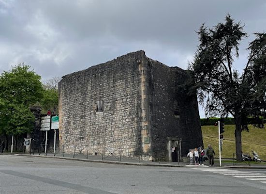 france/aquitaine/landmark/la-tour-de-sault