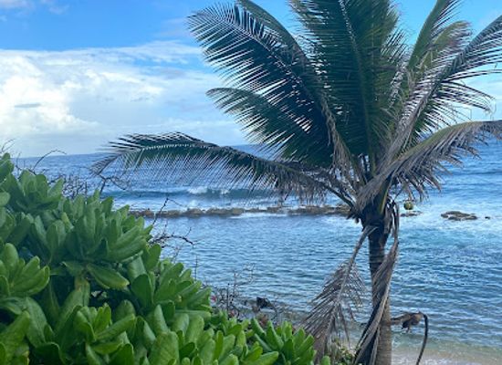 puerto-rico/big-island/landmark/isleta-de-san-juan