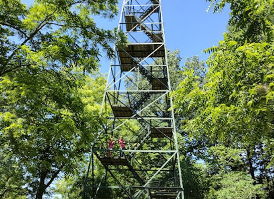 indiana/morgan-monroe-state-forest/landmark/mason-ridge-camping-area