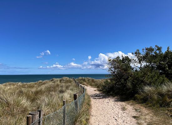 ireland/wexford/landmark/the-raven-nature-reserve
