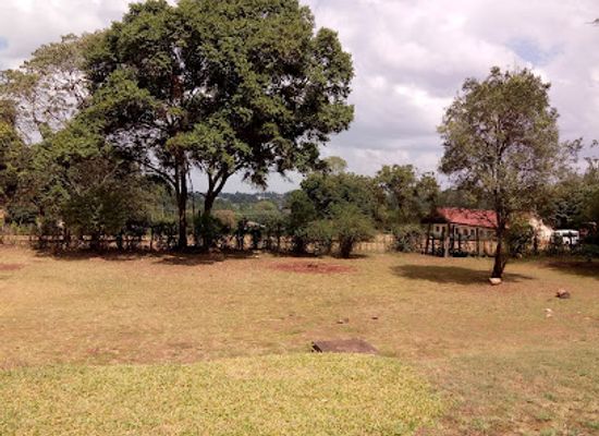 kenya/kitale/landmark/kitale-golf-club
