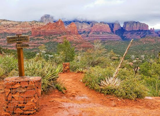 arizona/coconino-county/landmark/coconino-national-forest