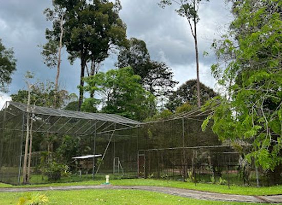 brunei/belalong-canopy-walkway/landmark/taman-batang-duri-taman-mini-zoo-temburong