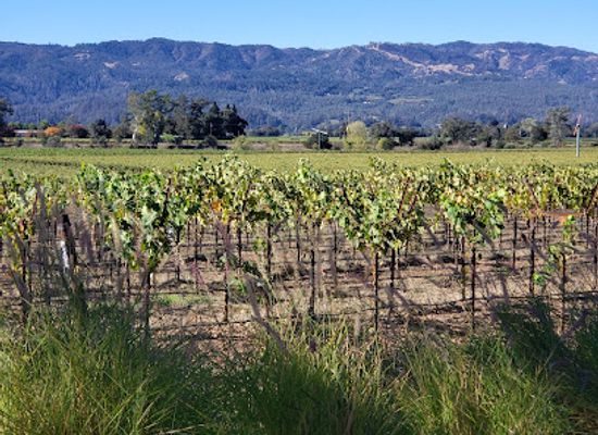 california/napa-valley/landmark/mumm-napa