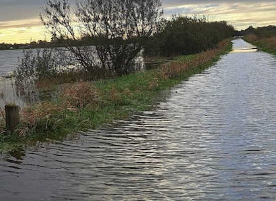 ireland/athlone/landmark/shannon-banks-nature-trail-walk-brown-route