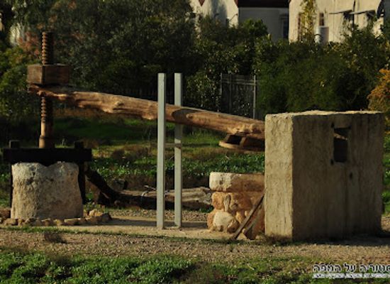 israel/kfar-saba/landmark/the-archaeological-garden-kfar-saba-tel-kfar-saba