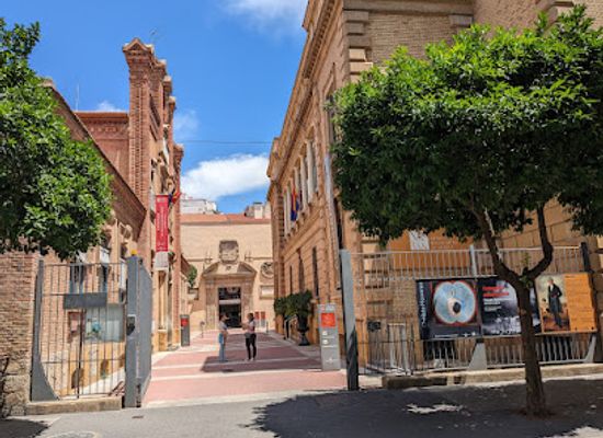 spain/murcia/landmark/museo-de-bellas-artes-de-murcia