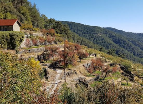 cyprus/troodos-national-forest-park/landmark/trooditissa-monastery