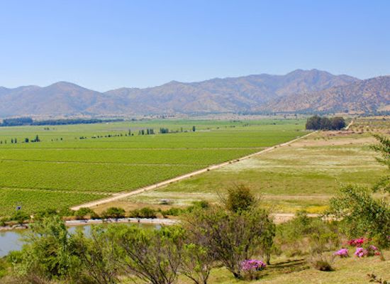 chile/colchagua-valley/landmark/vina-los-vascos