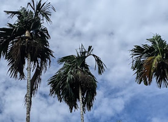 micronesia/koror/landmark/airai-bai