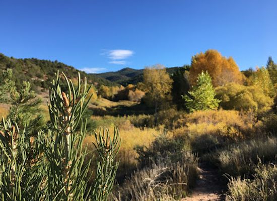 new-mexico/turquoise-trail/landmark/randall-davey-audubon-center-sanctuary