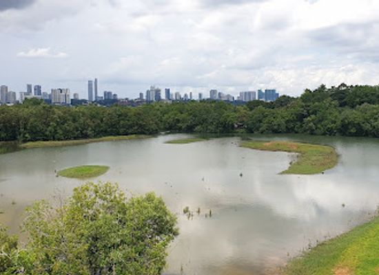 singapore/sungei-buloh-wetland-reserve/landmark/sg-buloh-wetland-reserve