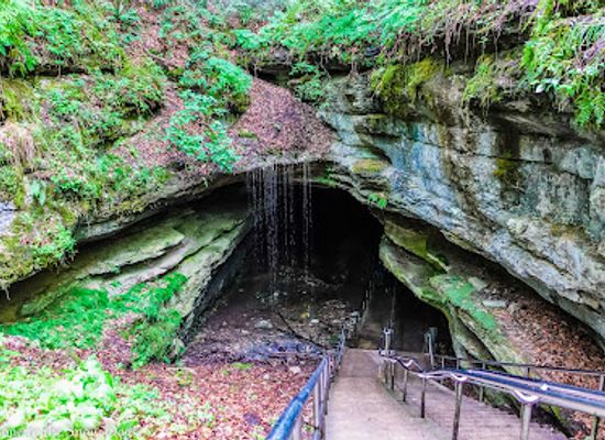 kentucky/mammoth-cave-national-park/landmark/mammoth-cave-visitor-center