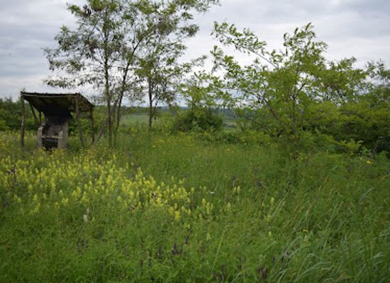 bulgaria/danubian-plain/landmark/stalbitsata-cave