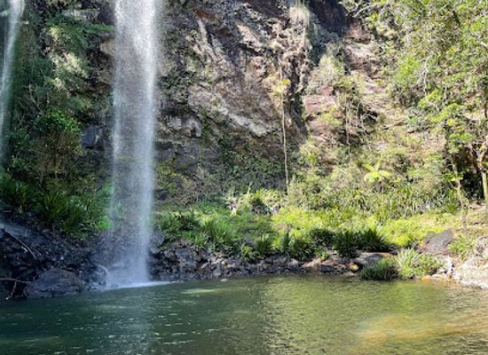 australia/gold-coast/landmark/springbrook-national-park