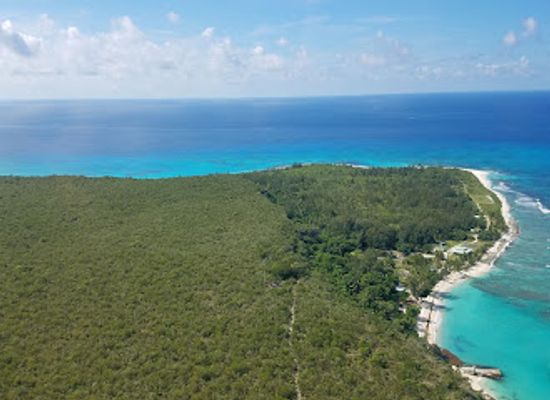 puerto-rico/mona-island/landmark/mona-island-nature-reserve