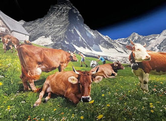 switzerland/lucerne/landmark/swiss-chocolate-adventure