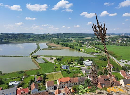 austria/burgenland/landmark/gussing-castle