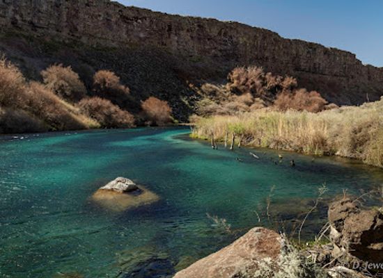 idaho/magic-valley/landmark/box-canyon-springs-preserve