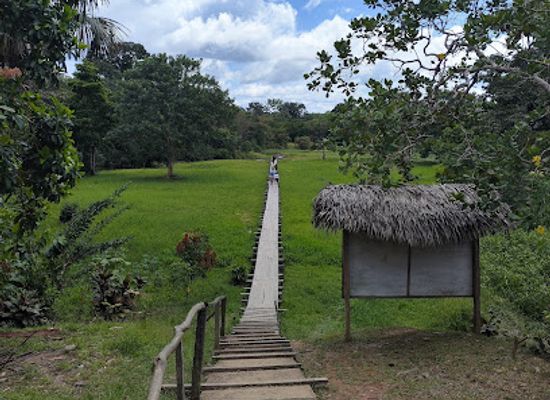 colombia/leticia/landmark/comunidad-indigena-yagua