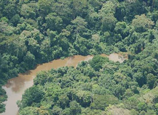 cote-d-ivoire/montagnes/landmark/tai-national-park