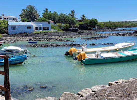 ecuador/galapagos-islands/landmark/santa-cruz-island