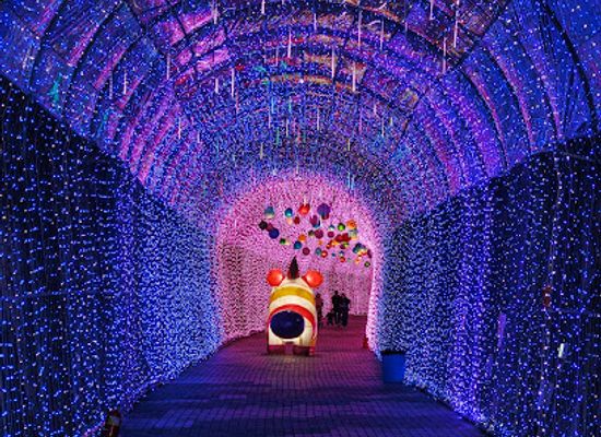 south-korea/yeongnam-region/landmark/twin-tunnel