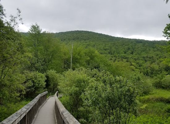 vermont/killington-resort/landmark/thundering-brook-falls-trail