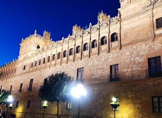 spain/salamanca/landmark/monterrey-s-palace