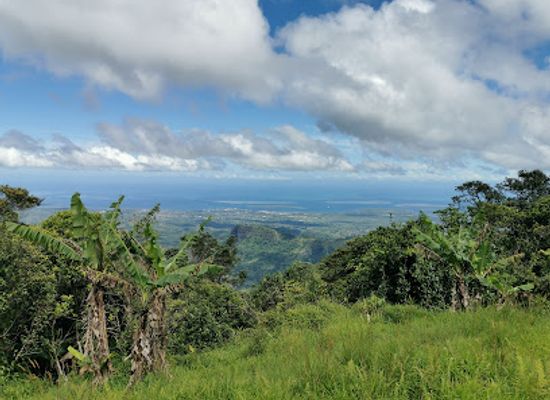 fiji/lautoka/landmark/koroyanitu-national-park