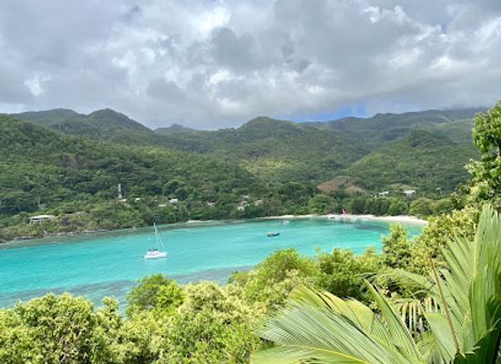 seychelles/port-glaud/landmark/coral-reef-port-launay