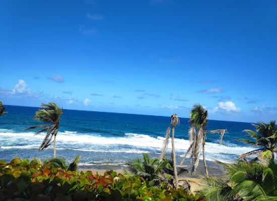 barbados/bathsheba/landmark/round-house
