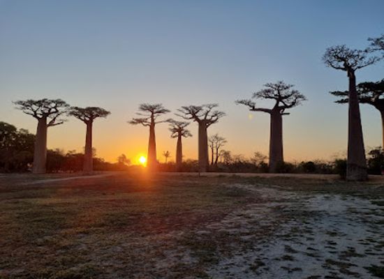 madagascar/analamanga/landmark/madagascar-natural-tours
