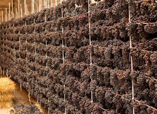 armenia/kotayk/landmark/365-wines